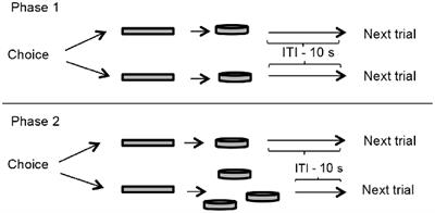 Effect of Schedule-Induced Behavior on Responses of Spontaneously Hypertensive and Wistar–Kyoto Rats in a Delay-Discounting Task: A Preliminary Report